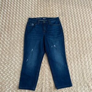 Style & Co. Dark Blue Skinny Jeans